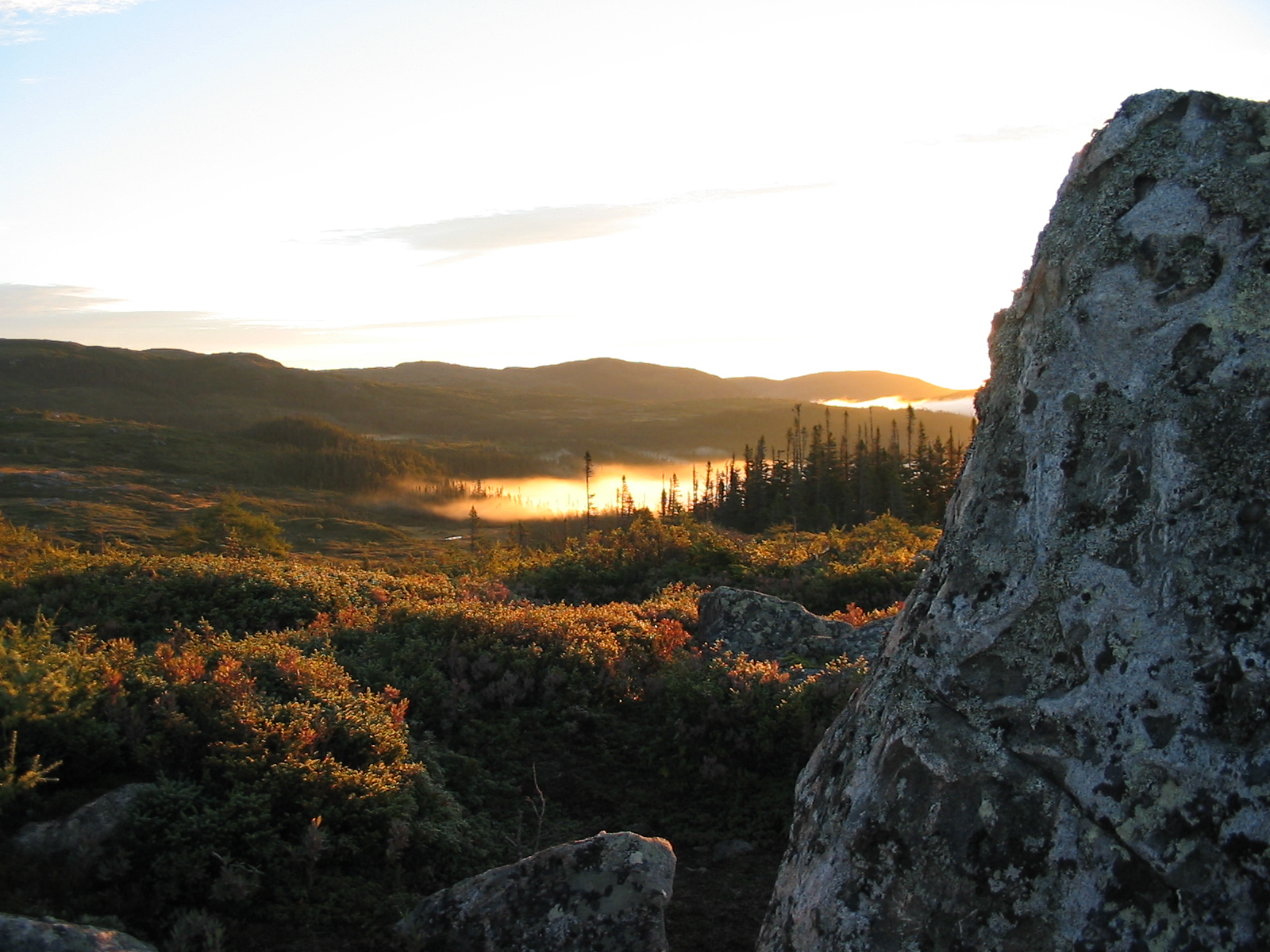 Bogs and Tuckamore, Mario's Rock