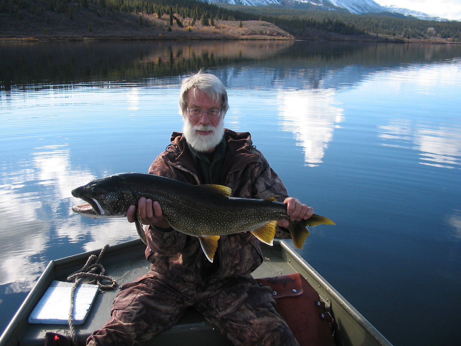 Lake Trout 