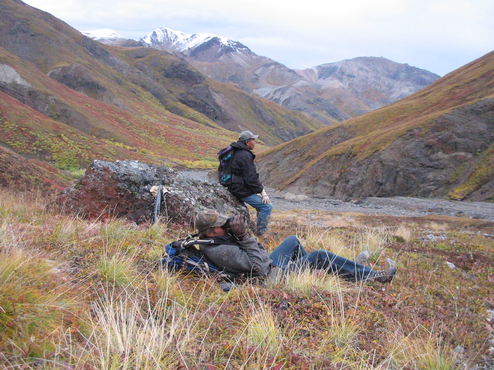 Glassing the mountains for sheep
