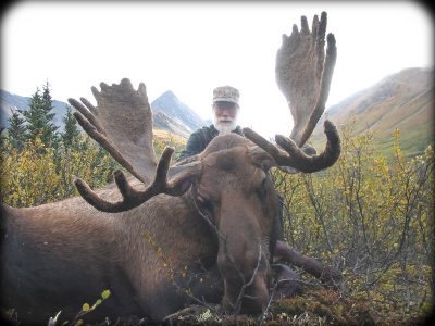 Canadian Moose taken with Kawdy Outfitters