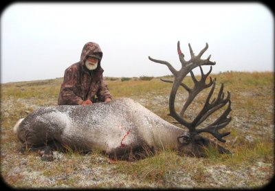 Mountain Caribou taken with Kawdy Outfitters