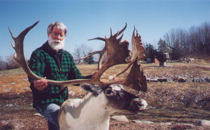 Quebec Labrador Caribou Mount