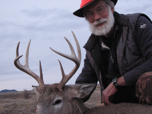 Whitetail deer in Wyoming