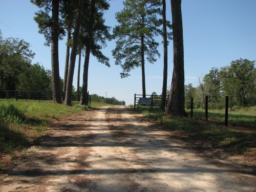 Ranch Entrance