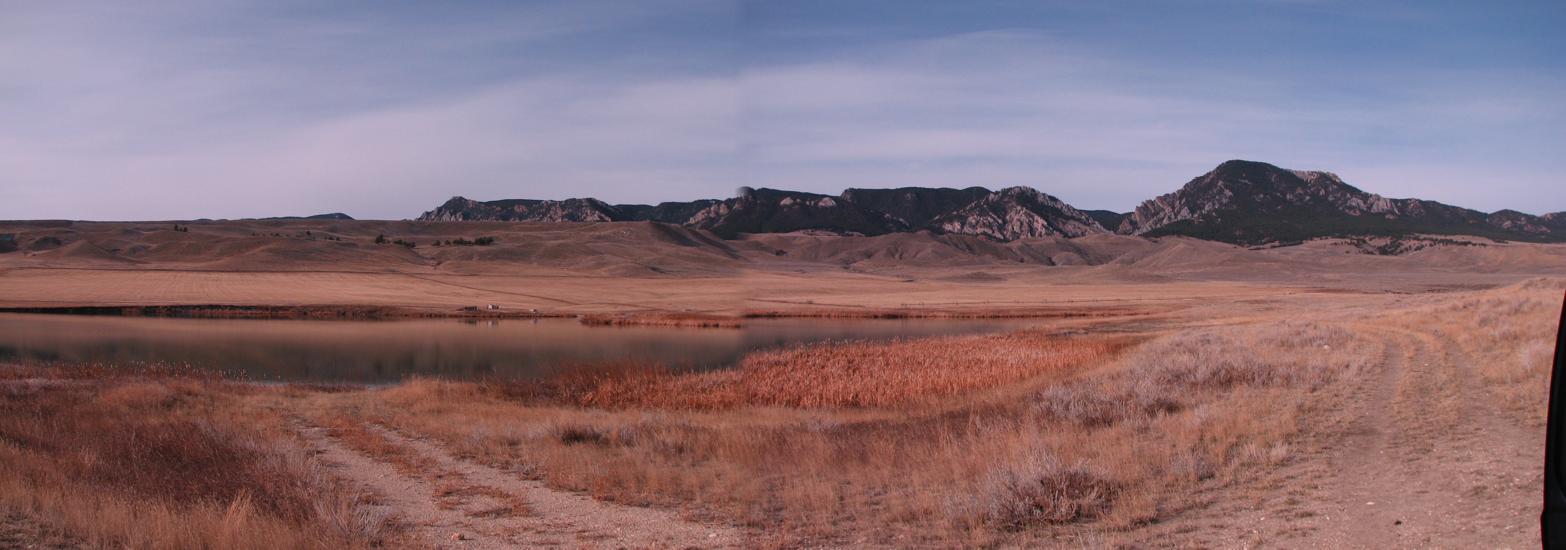 Alfalfa field behind ranch's water reservoir