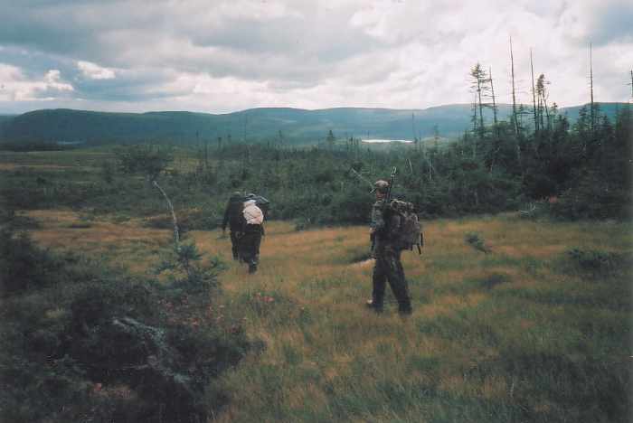 Packing out the Newfoundland Moose